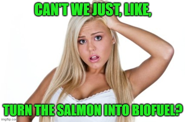Dumb Blonde | CAN'T WE JUST, LIKE, TURN THE SALMON INTO BIOFUEL? | image tagged in dumb blonde | made w/ Imgflip meme maker