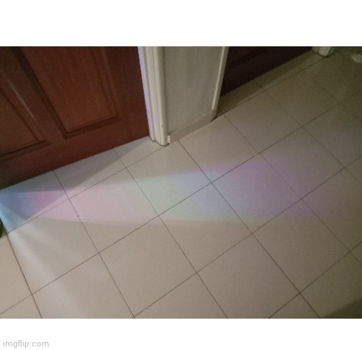The lights coming from my brother's fish tank | image tagged in fish tank,rainbow,shareyourownphotos | made w/ Imgflip meme maker