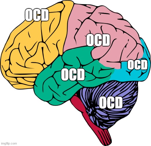 Brain Sections | OCD OCD OCD OCD OCD | image tagged in brain sections | made w/ Imgflip meme maker
