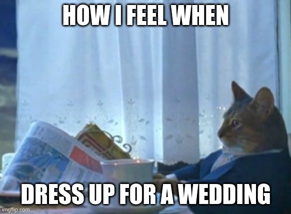 I Should Buy A Boat Cat | HOW I FEEL WHEN; DRESS UP FOR A WEDDING | image tagged in memes,i should buy a boat cat | made w/ Imgflip meme maker