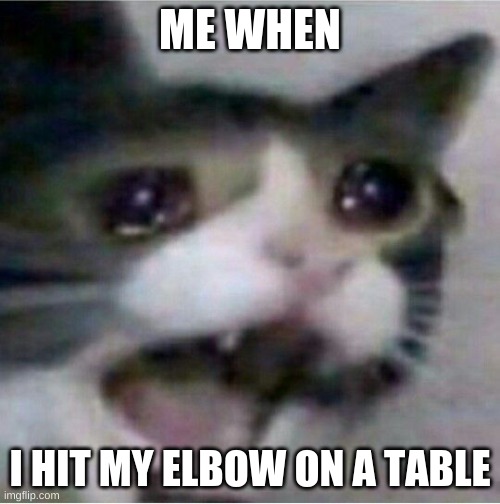 crying cat | ME WHEN; I HIT MY ELBOW ON A TABLE | image tagged in crying cat | made w/ Imgflip meme maker