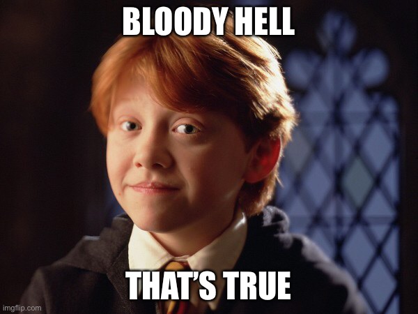 Ron Weasley | BLOODY HELL THAT’S TRUE | image tagged in ron weasley | made w/ Imgflip meme maker