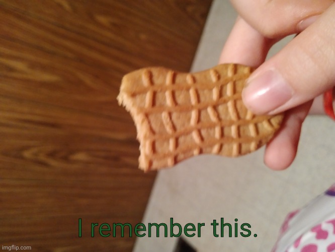 DOT.DOT.DOT.DOT-childish-DOT.DOT.DOT.DOT.DOT. | I remember this. | image tagged in hi | made w/ Imgflip meme maker