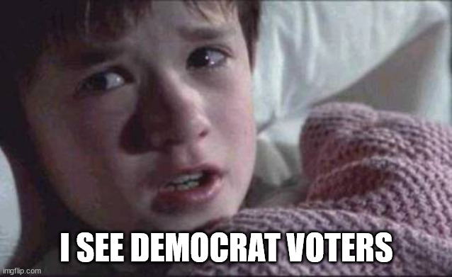 I See Dead People Meme | I SEE DEMOCRAT VOTERS | image tagged in memes,i see dead people | made w/ Imgflip meme maker