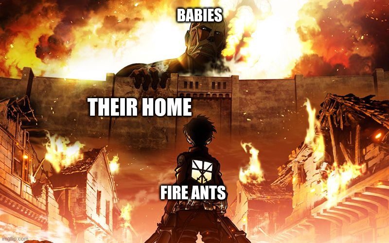 Attack On Titan | BABIES; THEIR HOME; FIRE ANTS | image tagged in attack on titan | made w/ Imgflip meme maker