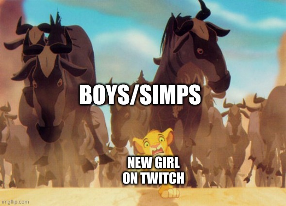 Lion King Stampede | BOYS/SIMPS; NEW GIRL ON TWITCH | image tagged in lion king stampede,twitch,simp | made w/ Imgflip meme maker