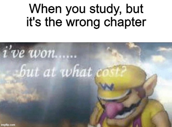 a | When you study, but it's the wrong chapter | image tagged in ive won but at what cost,school | made w/ Imgflip meme maker