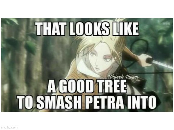 we all know... | image tagged in annie,aot,petra noooo,memes,funny | made w/ Imgflip meme maker