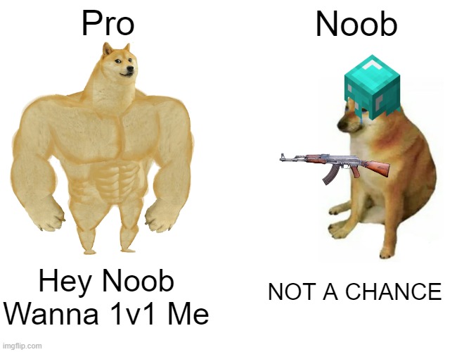 Noob vs Pro | Pro; Noob; Hey Noob Wanna 1v1 Me; NOT A CHANCE | image tagged in memes,buff doge vs cheems | made w/ Imgflip meme maker
