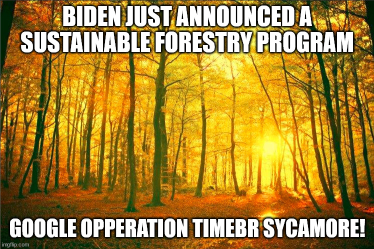 I'm so excited u guysze! | BIDEN JUST ANNOUNCED A SUSTAINABLE FORESTRY PROGRAM; GOOGLE OPPERATION TIMEBR SYCAMORE! | image tagged in politics,funny,funny meme,funny memes | made w/ Imgflip meme maker