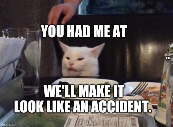 Salad cat | YOU HAD ME AT; J M; WE'LL MAKE IT LOOK LIKE AN ACCIDENT. | image tagged in salad cat | made w/ Imgflip meme maker