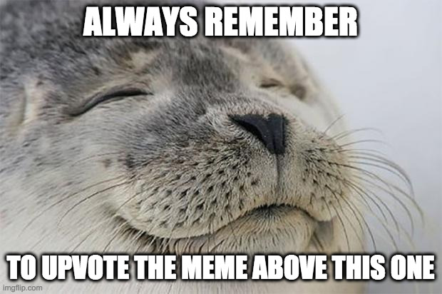 Satisfied Seal Meme | ALWAYS REMEMBER; TO UPVOTE THE MEME ABOVE THIS ONE | image tagged in memes,satisfied seal,happy,cute,seal,yeet | made w/ Imgflip meme maker