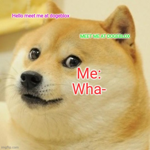 Doge | Hello meet me at dogeblox; Me: Wha-; MEET ME AT DOGEBLOX | image tagged in memes,doge | made w/ Imgflip meme maker