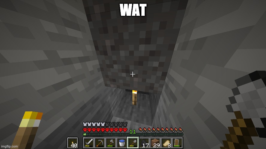 how tf | WAT | image tagged in minecraft | made w/ Imgflip meme maker