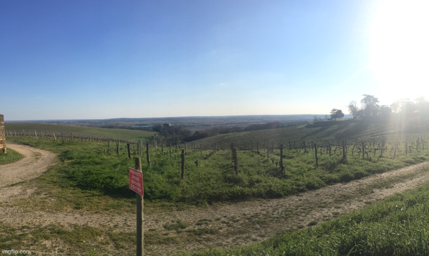 vine fields in the Bordeaux region | image tagged in vine,cool,pic,field,beautiful | made w/ Imgflip meme maker