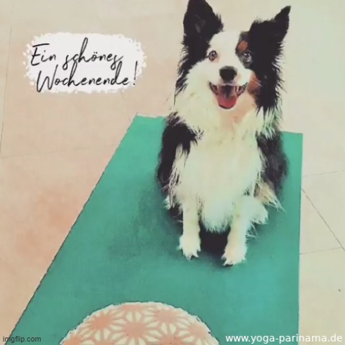 Nice Weekend | image tagged in weekend | made w/ Imgflip meme maker