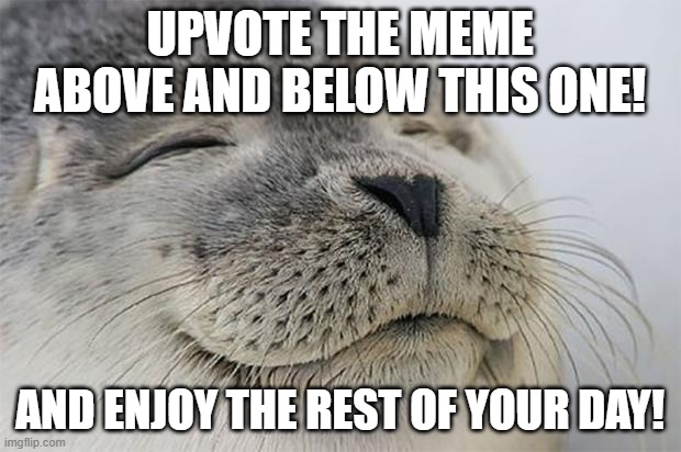 Satisfied Seal Meme | UPVOTE THE MEME ABOVE AND BELOW THIS ONE! AND ENJOY THE REST OF YOUR DAY! | image tagged in memes,satisfied seal | made w/ Imgflip meme maker