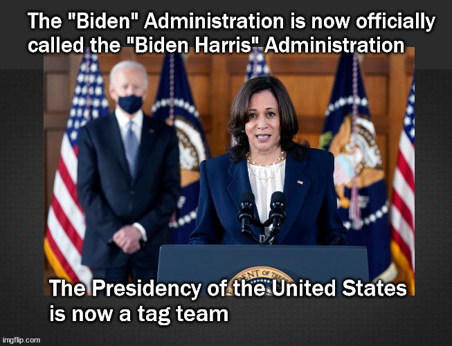 Tag team presidency | image tagged in politics | made w/ Imgflip meme maker