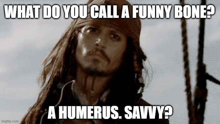 Savvy | WHAT DO YOU CALL A FUNNY BONE? A HUMERUS. SAVVY? | image tagged in pirate | made w/ Imgflip meme maker