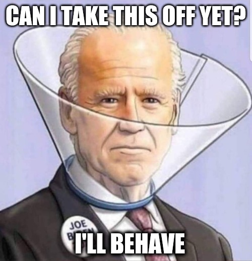 CAN I TAKE THIS OFF YET? I'LL BEHAVE | image tagged in politics,biden,creepy joe biden,beautiful hair,smells,yummy | made w/ Imgflip meme maker