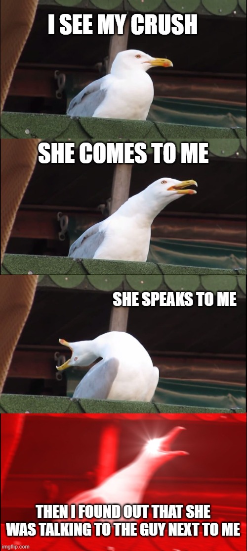 Inhaling Seagull Meme | I SEE MY CRUSH; SHE COMES TO ME; SHE SPEAKS TO ME; THEN I FOUND OUT THAT SHE WAS TALKING TO THE GUY NEXT TO ME | image tagged in memes,inhaling seagull | made w/ Imgflip meme maker