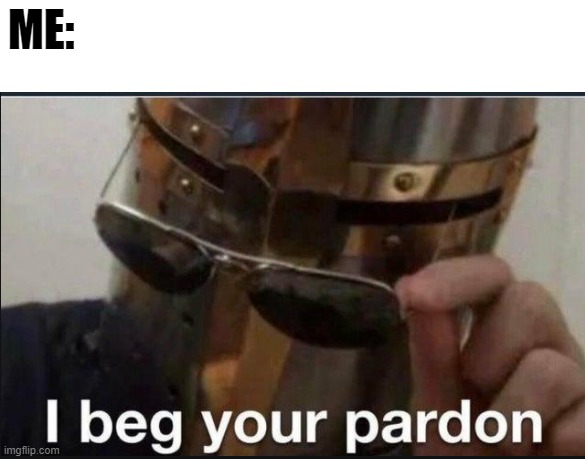 I beg your pardon | ME: | image tagged in i beg your pardon | made w/ Imgflip meme maker