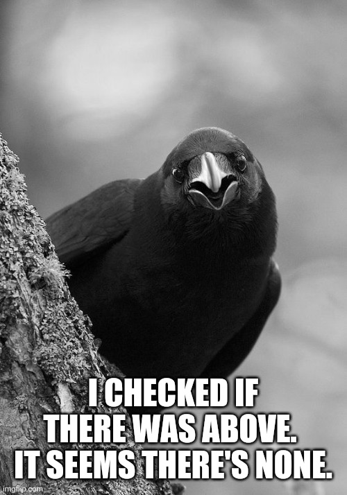 Crow looking around tree trunk | I CHECKED IF THERE WAS ABOVE. 
IT SEEMS THERE'S NONE. | image tagged in crow looking around tree trunk | made w/ Imgflip meme maker