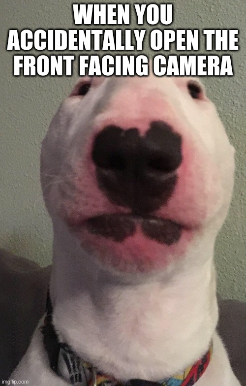 Walter | WHEN YOU ACCIDENTALLY OPEN THE FRONT FACING CAMERA | image tagged in walter | made w/ Imgflip meme maker
