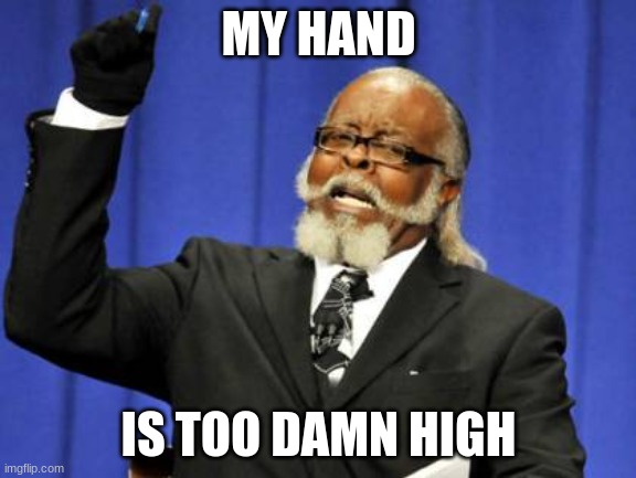 Why is My Hand So High? | MY HAND; IS TOO DAMN HIGH | image tagged in memes,too damn high | made w/ Imgflip meme maker