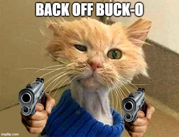 BACK OFF BUCK-O | image tagged in wtf-cat | made w/ Imgflip meme maker