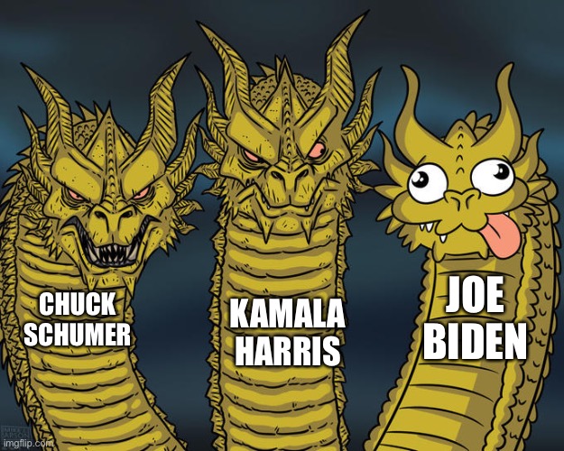 Joe is just a figurehead, and an idiot. | JOE BIDEN; CHUCK SCHUMER; KAMALA HARRIS | image tagged in three-headed dragon,memes,joe biden,kamala harris,chuck schumer,democrats | made w/ Imgflip meme maker