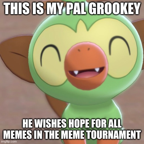 Grookey wishes good luck to all hope for memes | THIS IS MY PAL GROOKEY; HE WISHES HOPE FOR ALL MEMES IN THE MEME TOURNAMENT | image tagged in pokemon sword and shield,hope | made w/ Imgflip meme maker