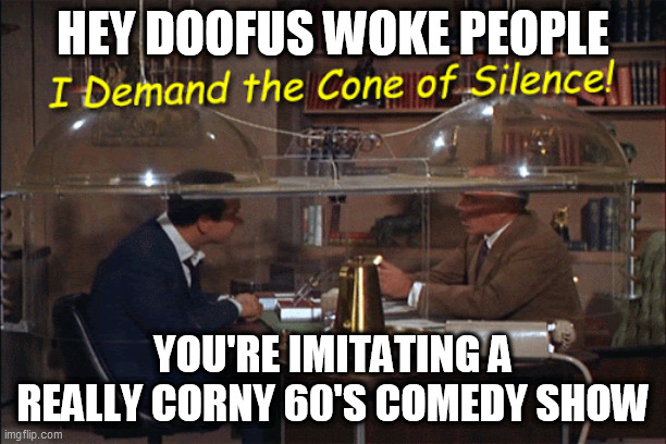 Max woke | HEY DOOFUS WOKE PEOPLE; YOU'RE IMITATING A REALLY CORNY 60'S COMEDY SHOW | image tagged in funny memes | made w/ Imgflip meme maker
