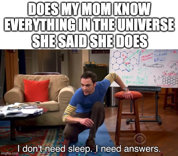 I NEED ANSWERS | DOES MY MOM KNOW EVERYTHING IN THE UNIVERSE; SHE SAID SHE DOES | image tagged in i don't need sleep i need answers,mom | made w/ Imgflip meme maker