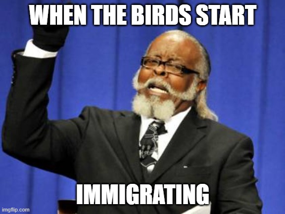 Immigrating :/ | WHEN THE BIRDS START; IMMIGRATING | image tagged in memes,too damn high | made w/ Imgflip meme maker
