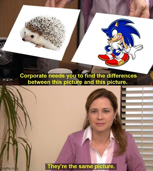 Sonic // They are the same picture | image tagged in they are the same picture,sonic the hedgehog,lol so funny | made w/ Imgflip meme maker