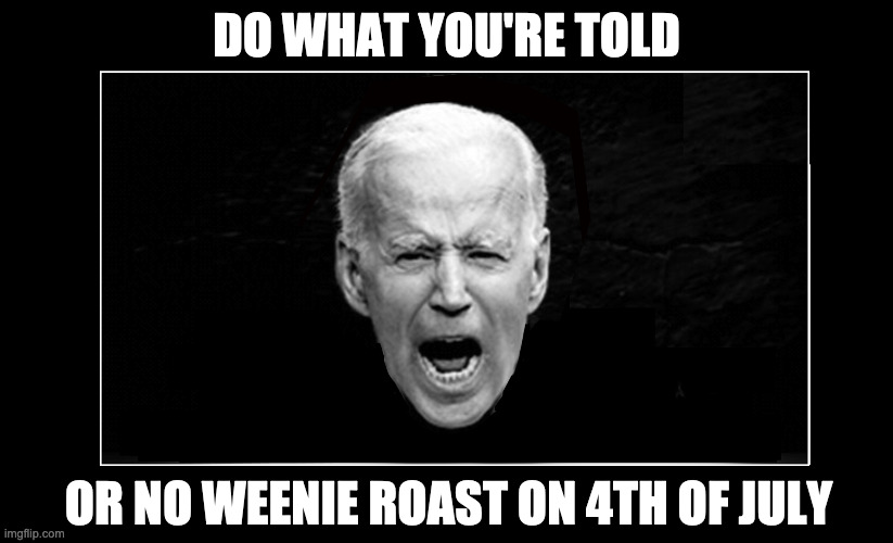 Freedom is granted by the Constitution, not by a dictator. | DO WHAT YOU'RE TOLD; OR NO WEENIE ROAST ON 4TH OF JULY | image tagged in biden blunder,the start of an error | made w/ Imgflip meme maker