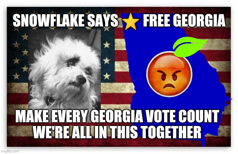Free Georgia | SNOWFLAKE SAYS ⭐ FREE GEORGIA; MAKE EVERY GEORGIA VOTE COUNT
WE'RE ALL IN THIS TOGETHER | image tagged in snowflake,georgia,blm,vote,jim crow,dogs | made w/ Imgflip meme maker