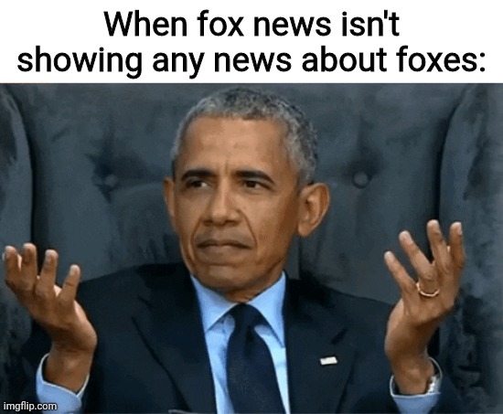 Lol | When fox news isn't showing any news about foxes: | image tagged in confused obama | made w/ Imgflip meme maker