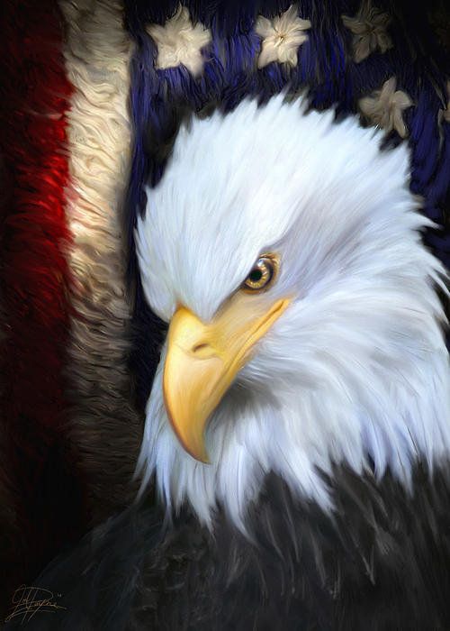 eagle Blank Meme Template