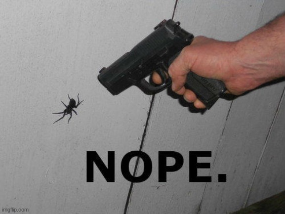 My dad has arachnophobia and this image reminds me of him XDDD | image tagged in wheezing rn | made w/ Imgflip meme maker
