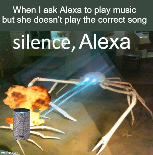 Stupid Alexa, barely knows how to do a simple task like telling me the types of a Pokemon. | When I ask Alexa to play music but she doesn't play the correct song; Alexa | image tagged in silence crab | made w/ Imgflip meme maker