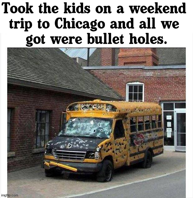 There is not gun control in Chicago, they shoot everything. | Took the kids on a weekend 
trip to Chicago and all we 
got were bullet holes. | image tagged in politics,chicago,guns | made w/ Imgflip meme maker