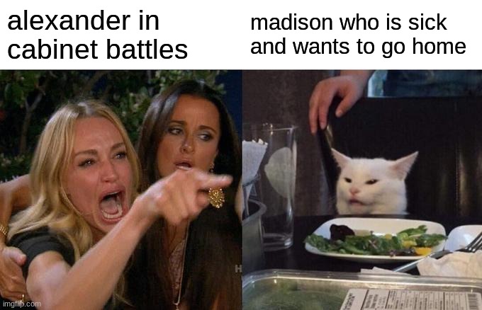 l e t h i m g o h o m e a l e x | alexander in cabinet battles; madison who is sick and wants to go home | image tagged in memes,woman yelling at cat | made w/ Imgflip meme maker