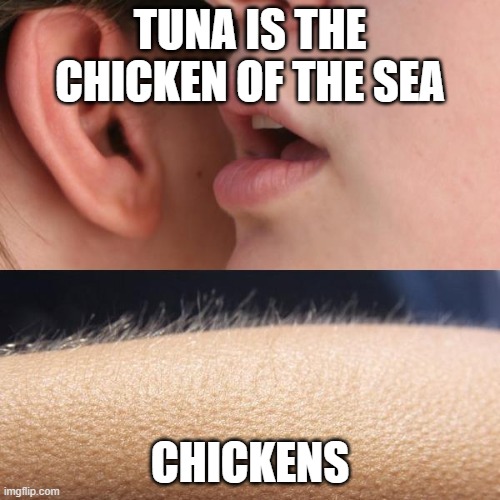 Whisper and Goosebumps | TUNA IS THE CHICKEN OF THE SEA; CHICKENS | image tagged in whisper and goosebumps | made w/ Imgflip meme maker