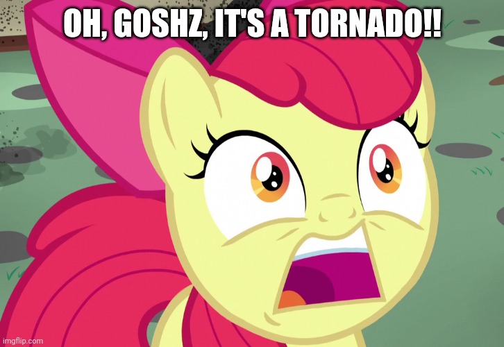 OH, GOSHZ, IT'S A TORNADO!! | made w/ Imgflip meme maker