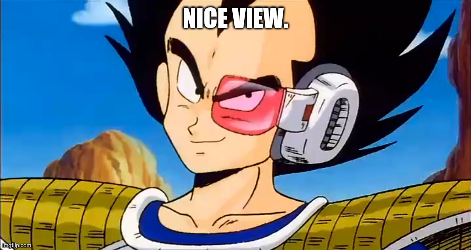 NICE VIEW. | made w/ Imgflip meme maker