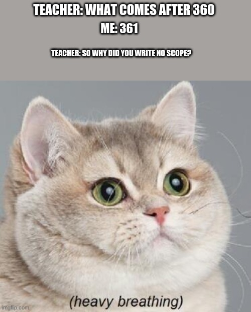 busted. | TEACHER: WHAT COMES AFTER 360; ME: 361; TEACHER: SO WHY DID YOU WRITE NO SCOPE? | image tagged in memes,heavy breathing cat | made w/ Imgflip meme maker