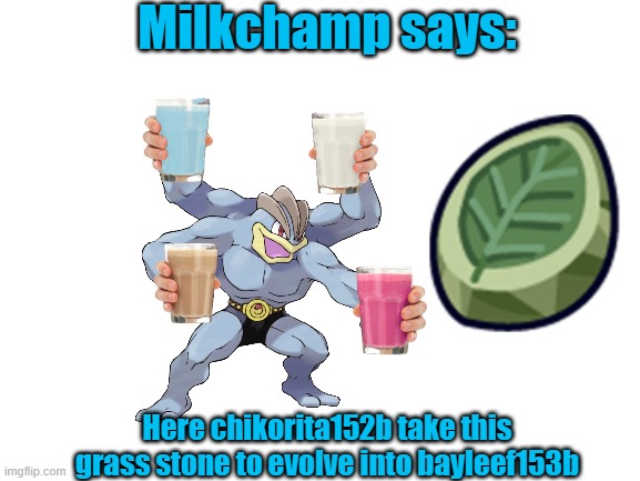 Am One Of Your Followerz Pls Accept Milkchamps Offering To You! |  Milkchamp says:; Here chikorita152b take this grass stone to evolve into bayleef153b | image tagged in milkchamp,chikorita,evolve,bayleef | made w/ Imgflip meme maker