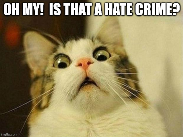 Scared Cat Meme | OH MY!  IS THAT A HATE CRIME? | image tagged in memes,scared cat | made w/ Imgflip meme maker